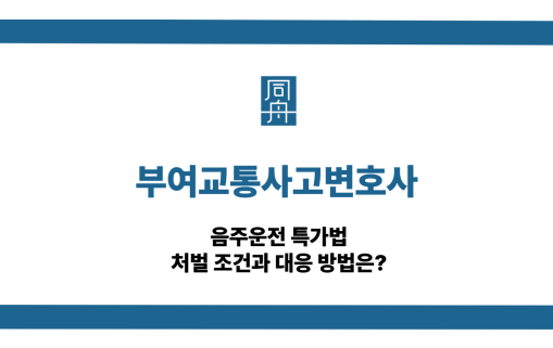 부여교통사고변호사