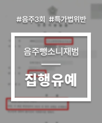 음주뺑소니처벌