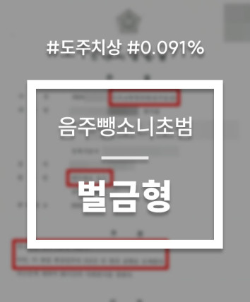 음주뺑소니초범