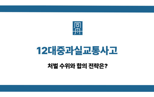 12대중과실교통사고