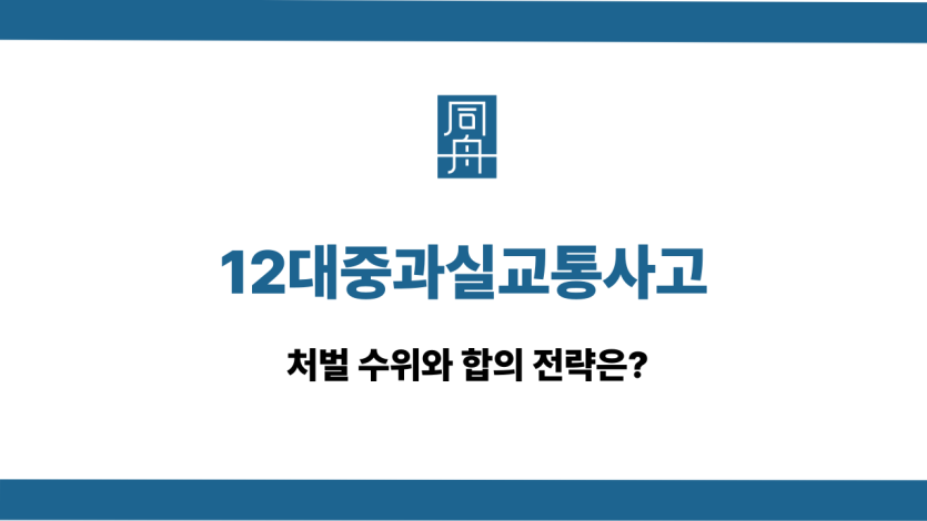 12대중과실교통사고