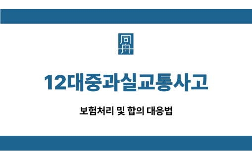 12대중과실교통사고