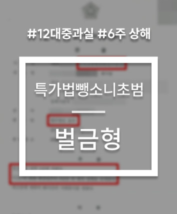 특가법 뺑소니