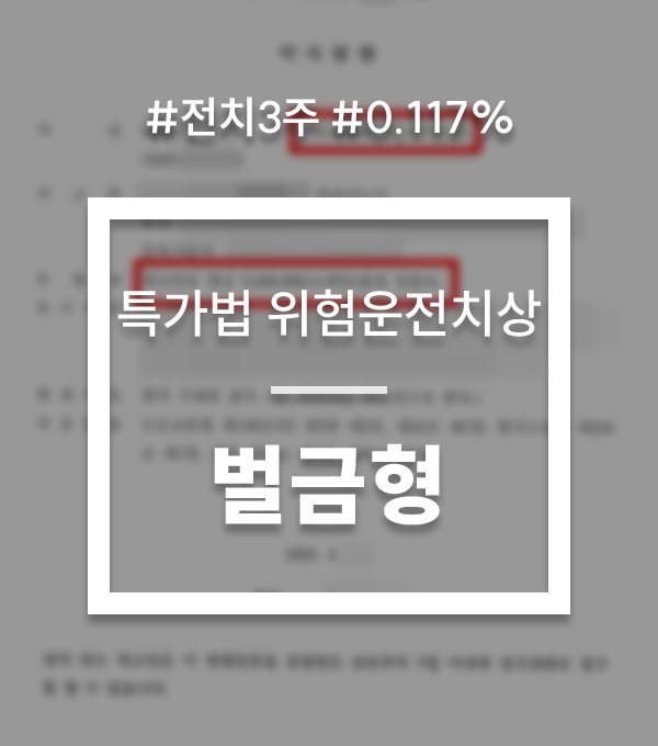 특가법 위험운전치상 실형 벌금형 특가법 위험운전치상 실형 벌금형