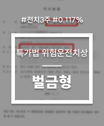 특가법 위험운전치상 실형 벌금형