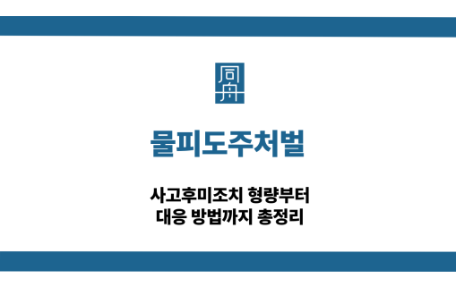 물피도주처벌 사고후미조치 선처 대응