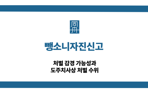 뺑소니자진신고