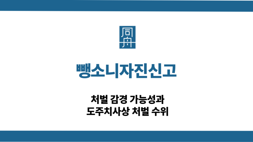 뺑소니자진신고