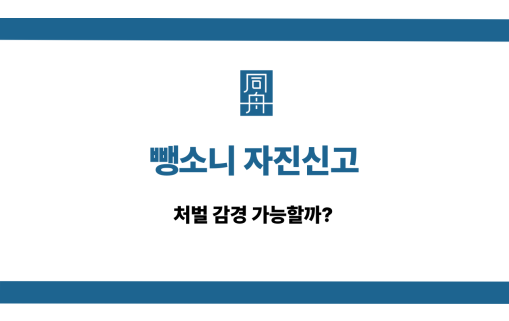 뺑소니 자진신고 처벌 감경