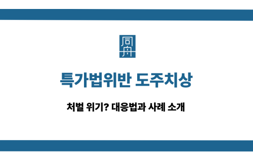 특가법위반 도주치상 대응 사례