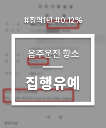 음주운전 항소 재범 집행유예