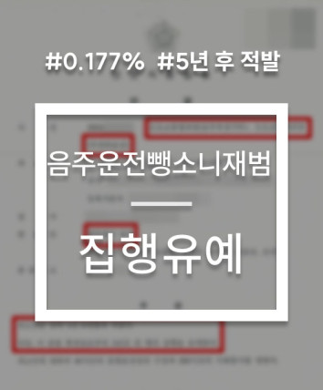 음주운전 뺑소니 집행유예 사례