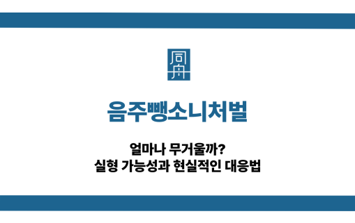 음주뺑소니처벌 실형 가능성