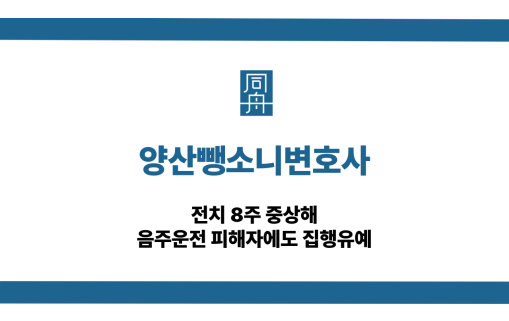 양산뺑소니변호사 중상해 음주운전 피해자 집행유예