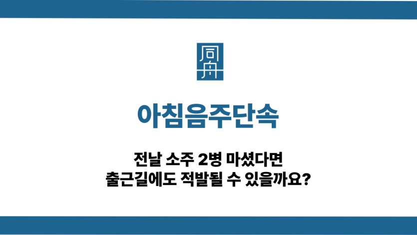 아침음주단속 적발됐을때 대응 방법