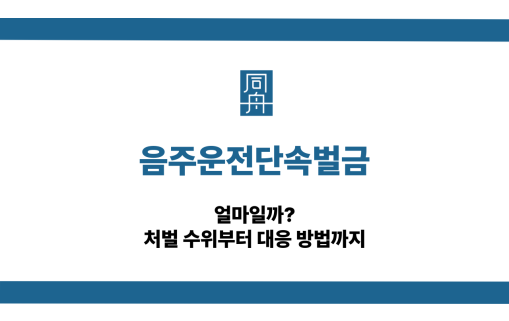 음주운전단속벌금 선처 대응 상담