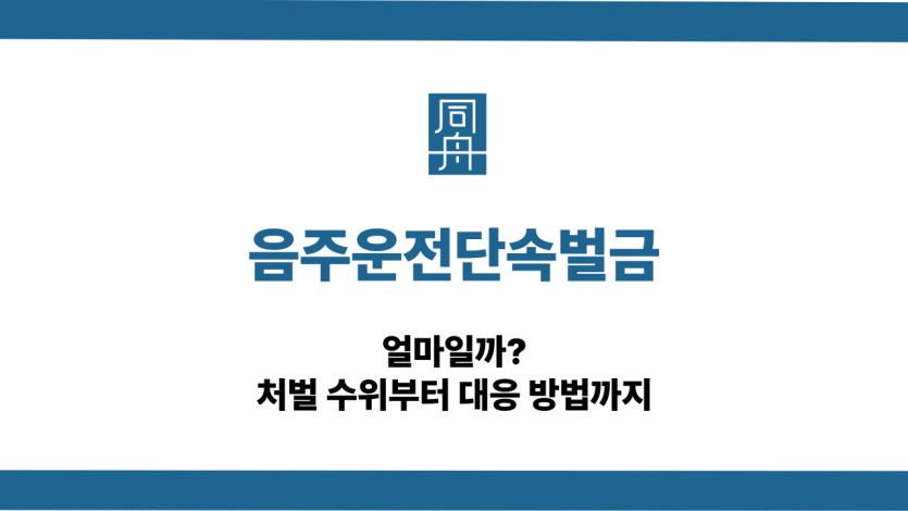 음주운전단속벌금 선처 대응 상담