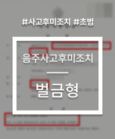 음주운전 사고후미조치 선처